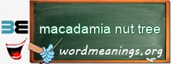 WordMeaning blackboard for macadamia nut tree